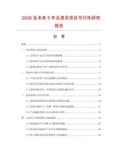 2026及未來(lái)5年去漬靈項(xiàng)目可行性研究報(bào)告