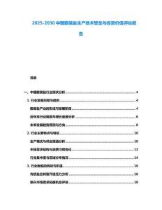 2025-2030中國散裝鹽生產技術壁壘與投資價值評估報告