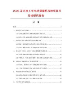 2026及未來5年電動搖窗機拉線項目可行性研究報告