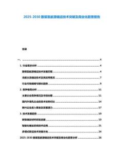 2025-2030散裝氫能源儲運技術突破及商業化前景報告