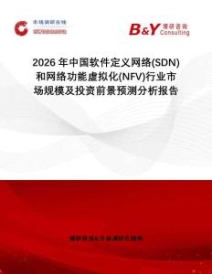 2026年中國軟件定義網絡(SDN)和網絡功能虛擬化(NFV)行業市場規模及投資前景預測分析報告