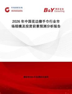 2026年中國花邊擦手巾行業市場規模及投資前景預測分析報告