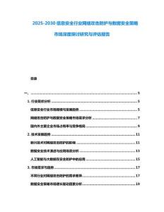 2025-2030信息安全行業(yè)網(wǎng)絡(luò)攻擊防護(hù)與數(shù)據(jù)安全策略市場深度探討研究與評估報(bào)告