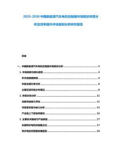 2025-2030中國新能源汽車電機控制器市場現狀供需分析及效率提升評估規劃分析研究報告