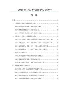 2026年中國粗銦數據監測報告