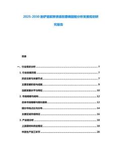 2025-2030脅釅邈嶄黲譙鑷廚麝碙齟鰉分析發展規劃研究報告