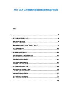 2025-2030云計算服務市場細分領域投資價值分析報告