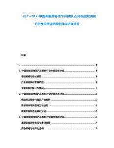2025-2030中國(guó)新能源電動(dòng)汽車系統(tǒng)行業(yè)市場(chǎng)現(xiàn)狀供需分析及投資評(píng)估規(guī)劃分析研究報(bào)告