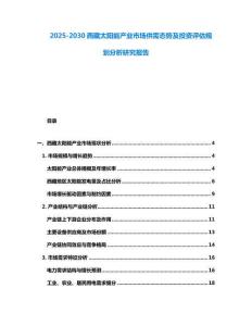 2025-2030西藏太陽(yáng)能產(chǎn)業(yè)市場(chǎng)供需態(tài)勢(shì)及投資評(píng)估規(guī)劃分析研究報(bào)告