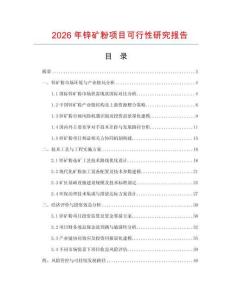 2026年鋅礦粉項(xiàng)目可行性研究報(bào)告