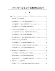 2026年中國羊皮手鼓數(shù)據(jù)監(jiān)測報告