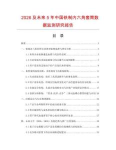 2026及未來5年中國鐵制內六角套筒數據監測研究報告