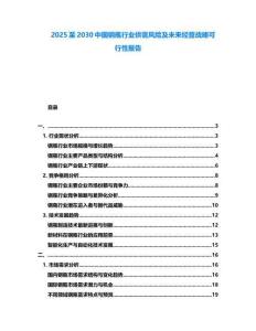 2025至2030中國鋼瓶行業供需風險及未來經營戰略可行性報告