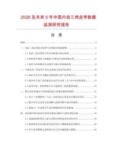 2026及未來5年中國內齒三角皮帶數據監測研究報告