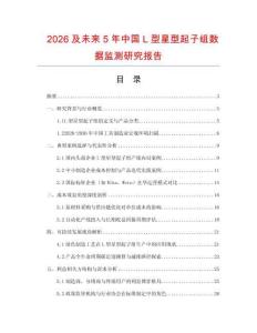 2026及未來5年中國L型星型起子組數據監測研究報告