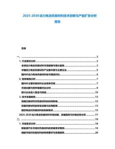 2025-2030動力電池負極材料技術創(chuàng)新與產能擴張分析報告