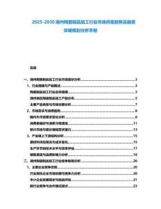 2025-2030湖州陶瓷制品加工行業(yè)市場供需趨勢及融資突破規(guī)劃分析手冊