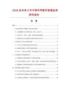 2026及未來5年中國吊帶配件數據監測研究報告