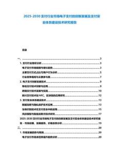 2025-2030支付行業市場電子支付的創新發展及支付安全體系建設技術研究報告