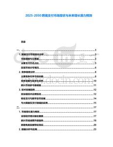 2025-2030跨境支付市場現狀與未來增長潛力預測