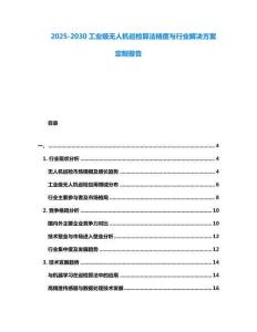 2025-2030工業級無人機巡檢算法精度與行業解決方案定制報告