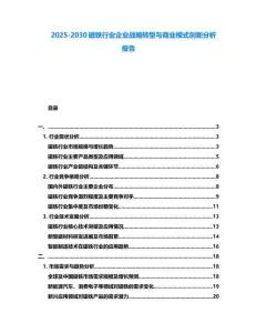 2025-2030磁鐵行業企業戰略轉型與商業模式創新分析報告