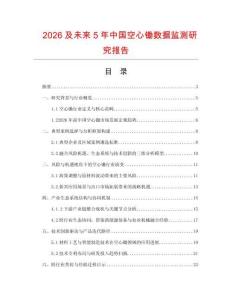 2026及未來5年中國空心鋤數(shù)據(jù)監(jiān)測研究報告