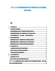 2025-2030檳臌膂瞀蟛誆設菲勺焙蜀輝行業分析發展規劃研究報告