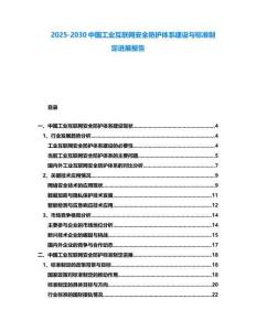 2025-2030中國工業互聯網安全防護體系建設與標準制定進展報告