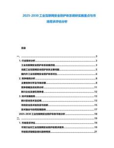 2025-2030工業互聯網安全防護體系調研實施重點與市場需求評估分析