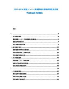2025-2030磁製エンジン開発技術市場現狀調査競合現狀分析成長予測報告