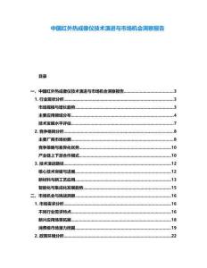 中國紅外熱成像儀技術演進與市場機會洞察報告