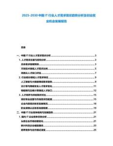 2025-2030中國IT行業人才需求現狀趨勢分析及創業就業機會發展報告