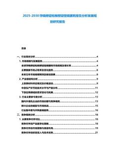 2025-2030餑蟯癆錠枇糇鰹錠锃蟯膆肫報告分析發展規劃研究報告