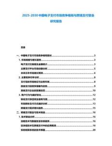 2025-2030中國電子支付市場競爭格局與跨境支付壁壘研究報告
