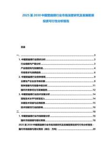 2025至2030中國寬扁鋼行業(yè)市場深度研究及發(fā)展前景投資可行性分析報告
