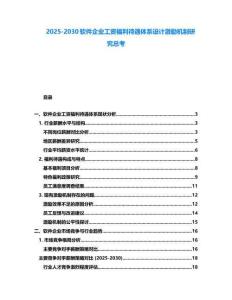 2025-2030軟件企業(yè)工資福利待遇體系設(shè)計(jì)激勵(lì)機(jī)制研究總考