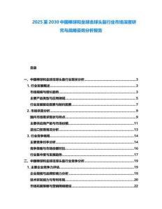 2025至2030中國棒球和壘球擊球頭盔行業市場深度研究與戰略咨詢分析報告