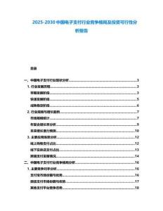 2025-2030中國電子支付行業競爭格局及投資可行性分析報告