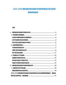 2025-2030攝影器材單反相機市場競爭格局分析及品牌營銷策略報告