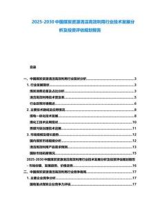 2025-2030中國煤炭資源清潔高效利用行業技術發展分析及投資評估規劃報告