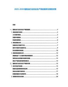 2025-2030植物油行業(yè)安全生產(chǎn)事故案例與預防對策