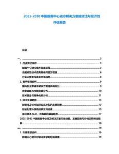 2025-2030中國數據中心液冷解決方案能效比與經濟性評估報告