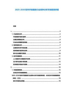 2025-2030軟件開發服務行業競爭分析市場前景研報