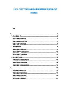 2025-2030下沉市場(chǎng)電商業(yè)務(wù)拓展策略與競(jìng)爭(zhēng)優(yōu)勢(shì)分析研究報(bào)告