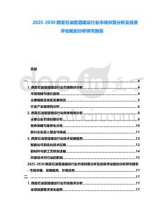 2025-2030西亞石油管道建設(shè)行業(yè)市場供需分析及投資評估規(guī)劃分析研究報(bào)告