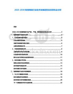 2025-2030智慧網絡行業技術發展趨勢及投資機會分析