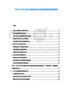 2025-2030支付大數(shù)據(jù)分析與商業(yè)變現(xiàn)模式探索報(bào)告