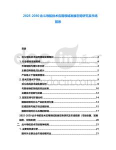 2025-2030北斗導(dǎo)航技術(shù)應(yīng)用領(lǐng)域發(fā)展態(tài)勢(shì)研究及市場(chǎng)前景