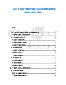2025至2030中國蝶骨電極行業市場深度研究及發展前景投資可行性分析報告